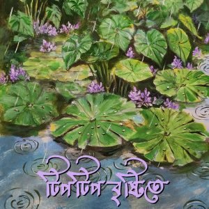 টিপটিপ বৃষ্টিতে (হার্ডকভার)